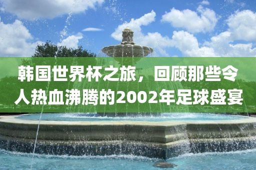 韩国世界杯之旅，回顾那些令人热血沸腾的2002年足球盛宴常熟市高丰毛纺织品有限公司