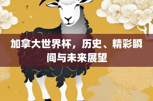加拿大世界杯，历史、精彩瞬间与未来展望常熟市高丰毛纺织品有限公司