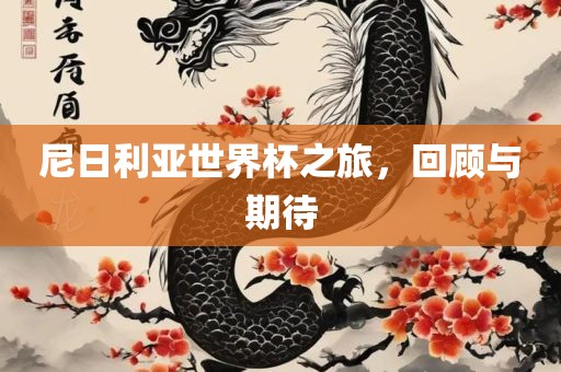 尼日利亚世界杯之旅，回顾与常熟市高丰毛纺织品有限公司期待