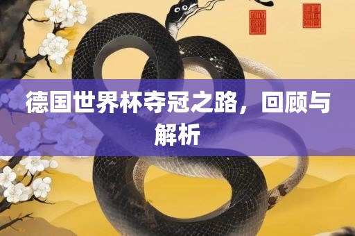 德国世界杯夺冠之路，回顾与解析常熟市高丰毛纺织品有限公司
