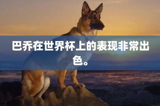 巴乔在世界杯上的表现非常出色。常熟市高丰毛纺织品有限公司