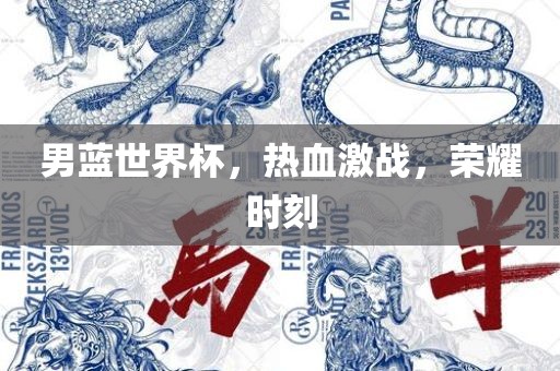 男蓝世界杯，热血激战，荣耀时刻