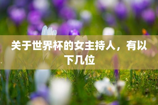 关于世界杯的女主持人，有以下几位常熟市高丰毛纺织品有限公司