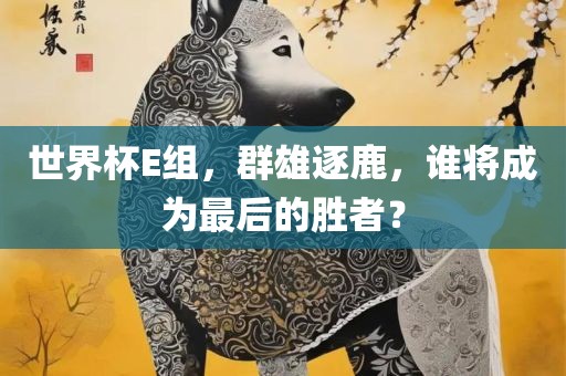 世界杯E组，群雄逐鹿，谁将成为最后的胜者？