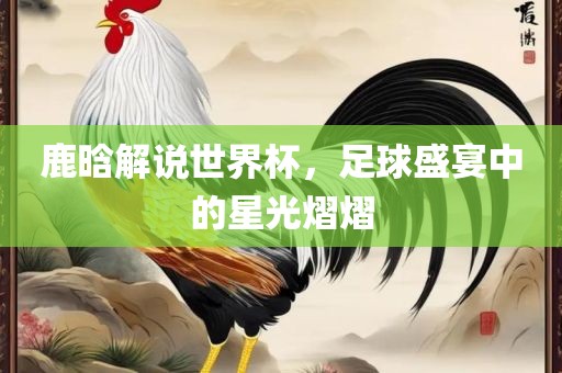 鹿晗解说世界杯，足球盛宴中的星光熠熠常熟市高丰毛纺织品有限公司