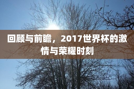 回顾与前瞻，2017世界杯的激情与荣耀时刻常熟市高丰毛纺织品有限公司