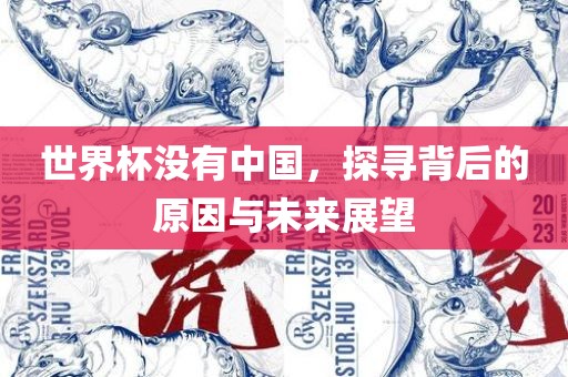 世界杯没有中国，探寻背后的原因与未来展望