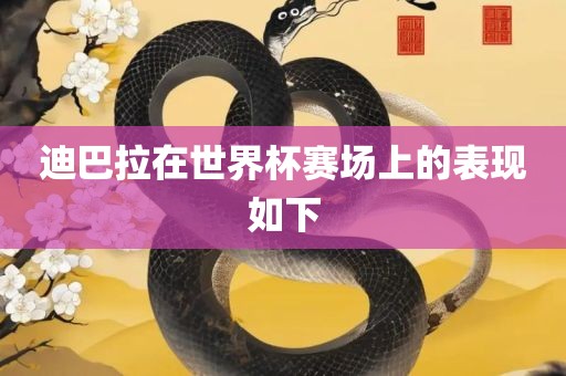 迪巴拉在世界杯赛场上的表现如下