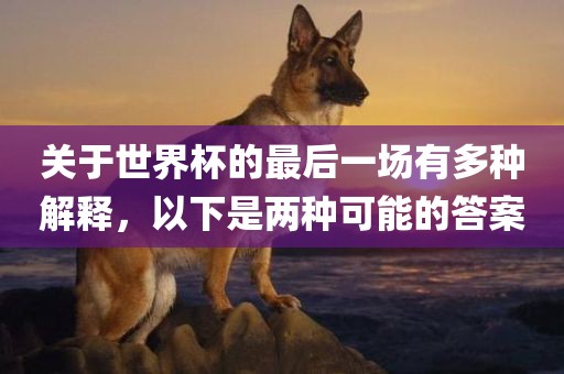 关于世界杯的最后一场有多种解释，以下是两种可能的答案常熟市高丰毛纺织品有限公司