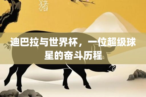迪巴拉与世界杯，一位超级球星的奋斗历程常熟市高丰毛纺织品有限公司