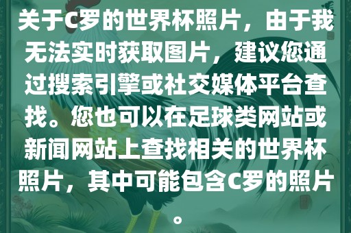 关于C罗的世界杯照片，由于我无法实时获取图片，建议您通过搜索引擎或社交媒体平台查找。您也可以在足球类网站或新闻网站上查找相关的世界杯照片，其中可能包含C罗的照片。常熟市高丰毛纺织品有限公司