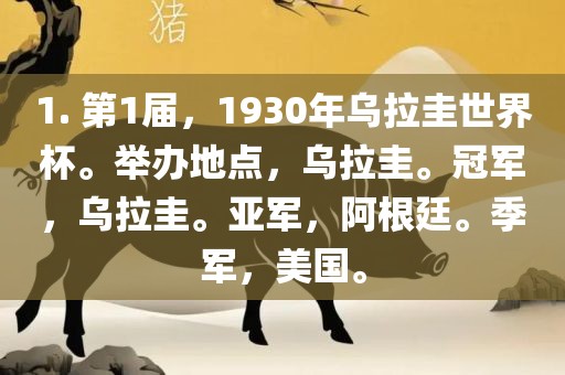 1. 第1届，1930年乌拉圭世界杯。举办地点，乌拉圭。冠军，乌拉圭。亚军，阿根廷。季军，美国。