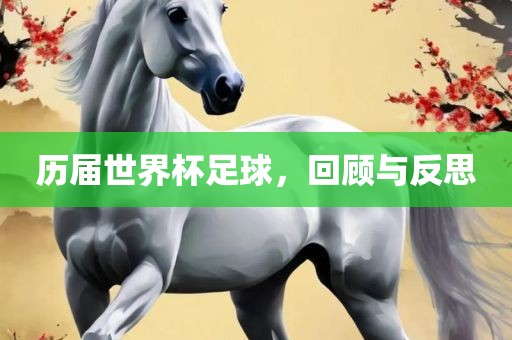 历届世界杯足球，回顾与反思常熟市高丰毛纺织品有限公司