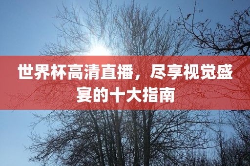 世界杯高清直播，尽享视觉盛宴的十大指南