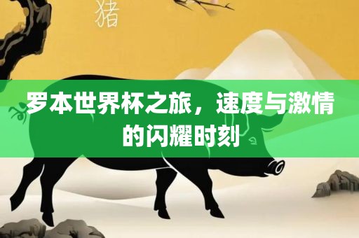 罗本世界杯之旅，速度与激情的闪耀时刻