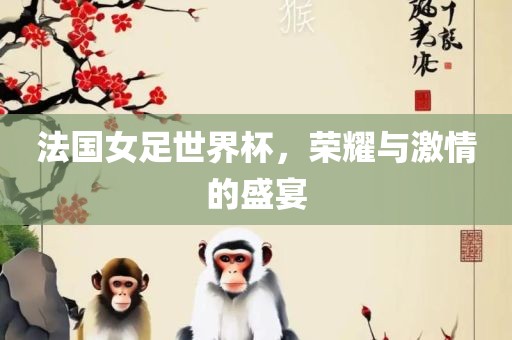法国女足世界杯，荣耀与激情的盛宴