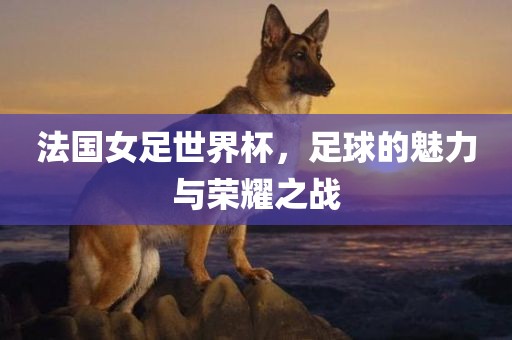 法国女足世界杯，足球的魅力与荣耀之战