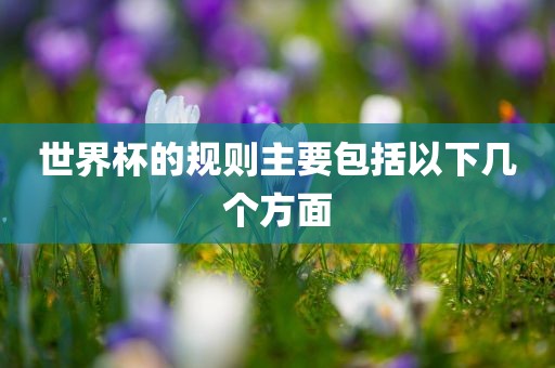世界杯的规则主要包括以下几个方面常熟市高丰毛纺织品有限公司