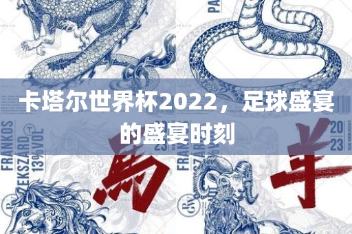 卡塔尔世界杯2022，足球盛宴的盛宴时刻常熟市高丰毛纺织品有限公司