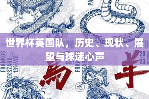世界杯英国队，历史、现状、展望与球迷心声常熟市高丰毛纺织品有限公司