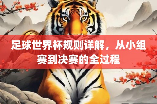 足球世界杯规则详解，从小组赛到决赛的全过程常熟市高丰毛纺织品有限公司