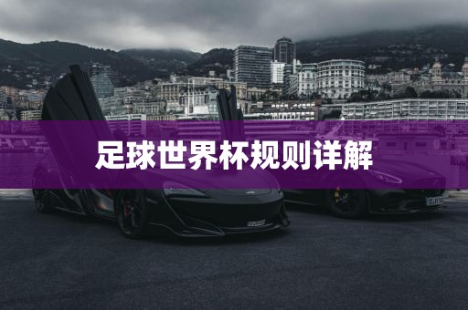 huamei 第6页