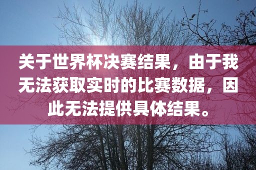 关于世界杯决赛结果，由于我无法获取实时的比赛数据，因此无法提供具体结果。