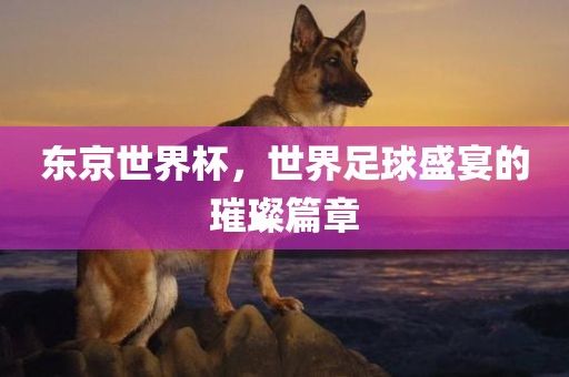 东京世界杯，世界足球盛宴的璀璨篇章常熟市高丰毛纺织品有限公司