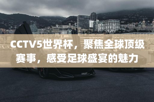 CCTV5世界杯，聚焦全球顶级赛事，感受足球盛宴的魅力常熟市高丰毛纺织品有限公司