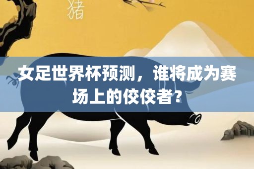女足世界杯预测，谁将成为赛场上的佼佼者？