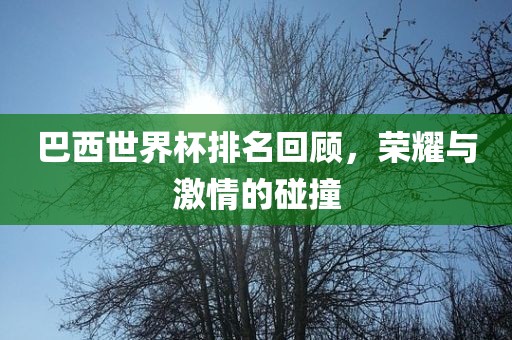 巴西世界杯排名回顾，荣耀与激情常熟市高丰毛纺织品有限公司的碰撞