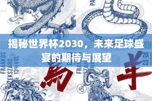 揭秘世界杯2030，未来足球盛宴的期待与常熟市高丰毛纺织品有限公司展望