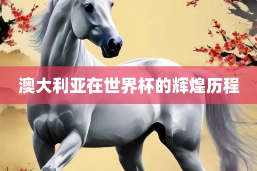 澳大利亚在世界杯的辉煌历程常熟市高丰毛纺织品有限公司
