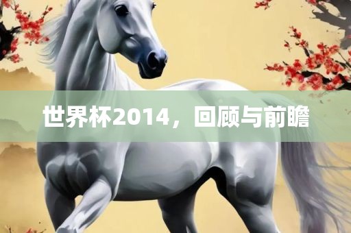 世界杯2014，回顾与前瞻