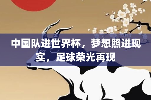 中国队进世界杯，梦想照进现实，足球荣光再现常熟市高丰毛纺织品有限公司