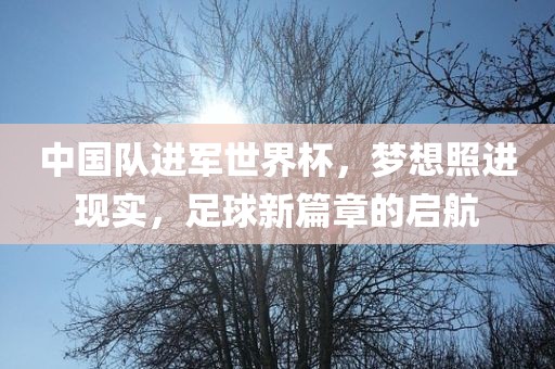 中国队进军世界杯，梦想照进现实，足球新篇章的启航