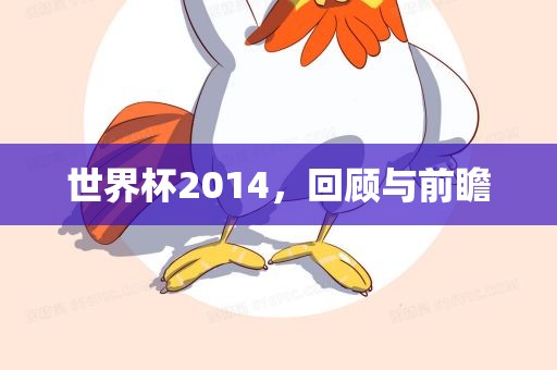 世界杯2014，回顾与前瞻