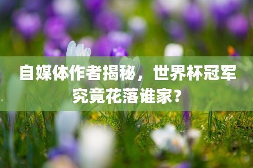 自媒体作者揭秘，世界杯冠军究竟花落谁家？