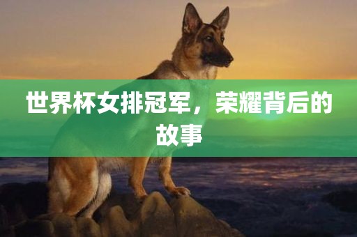 世界杯女排冠军，荣耀背后的故事常熟市高丰毛纺织品有限公司