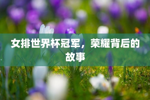 女排世界杯冠军，荣耀背后的故事