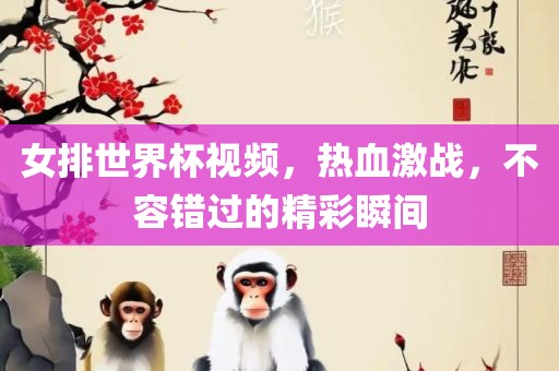 女排世界杯视频，热血激战，不容错过的精彩瞬间常熟市高丰毛纺织品有限公司