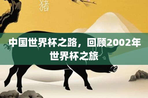 中国世界杯之路，回顾2002年世界杯之旅常熟市高丰毛纺织品有限公司