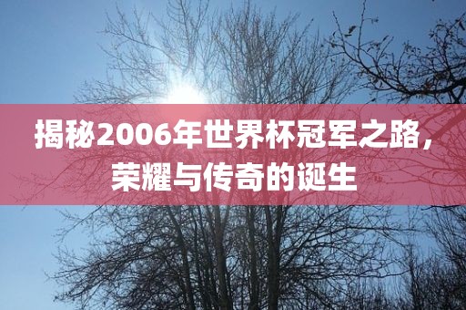 揭秘2006年世界杯冠军之路，荣耀与传奇的诞生