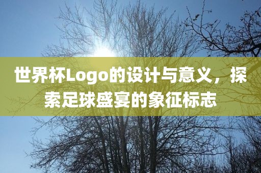 世界杯Logo的设计与意义，探索足球盛宴的象征标志