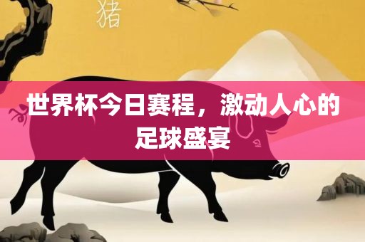 世界杯今日赛程，激动人心的足球盛宴常熟市高丰毛纺织品有限公司