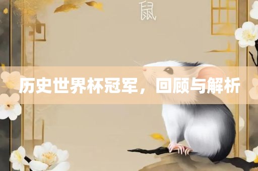 历史世界杯冠军，回顾与解析常熟市高丰毛纺织品有限公司