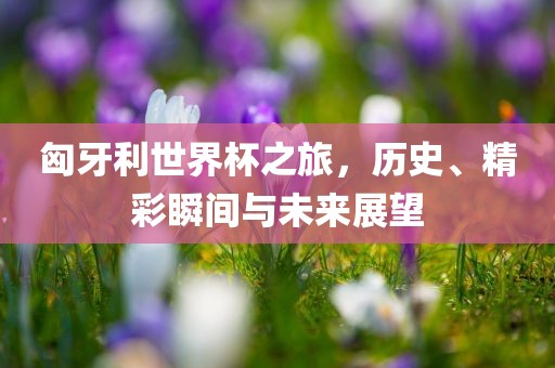 匈常熟市高丰毛纺织品有限公司牙利世界杯之旅，历史、精彩瞬间与未来展望