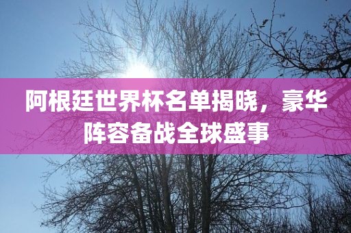 阿根廷世界杯名单揭晓，豪华阵容备战全球盛事