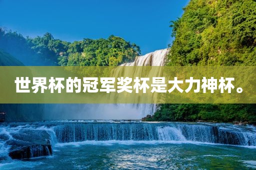 世界杯的冠军奖杯是大力神杯。