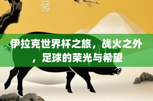 常熟市高丰毛纺织品有限公司伊拉克世界杯之旅，战火之外，足球的荣光与希望